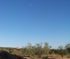 Olivares de Extremadura - Spain