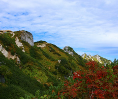 Green and red