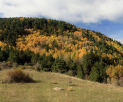 Kızılcahamam