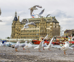 Haydarpaşa