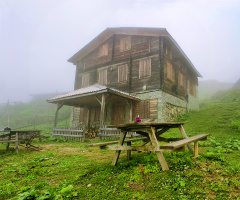 Pokut Yaylası - Rize