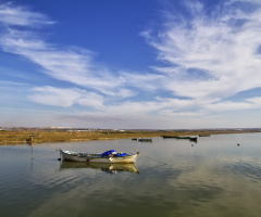 Kuş Cenneti-Bandırma