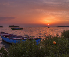 Kuş Cenneti-Bandırma