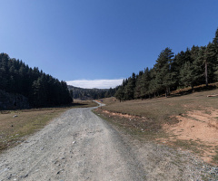 Yayla Yolları