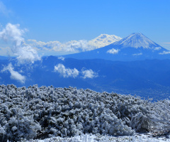 After snow morning