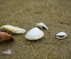 On the sand ...