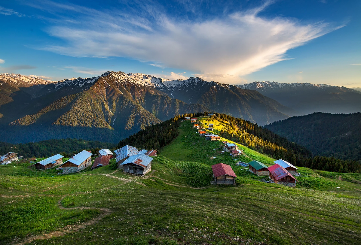 Pokut Турция