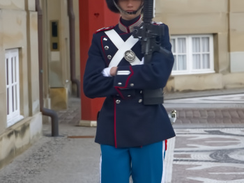 Guarding  Amalienborg in Denmark