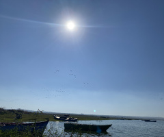 Manyas Kuş Cenneti 