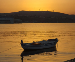 Bandırma/Balıkesir 