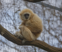 Zoo - København 2023.