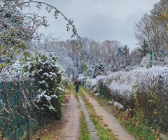 THE FIRST SNOW