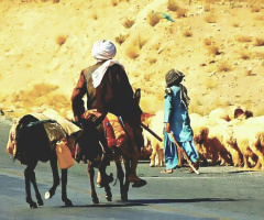 Baloch nomad on the move ⚜ ⚜ ⚜ 