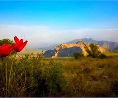 Hazaganji National Park Quetta ⚜ 