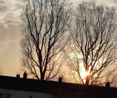 Sunrise , Karlsruhe / Germany 