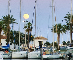 MOON OVER MARINA 