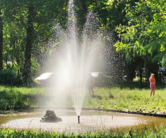 IN THE PARK