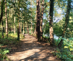 ŁAGIEWNICKI FOREST