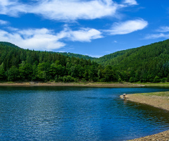 Innerste Dam, National Parc Harz