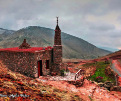 KUŞ BAKIŞI