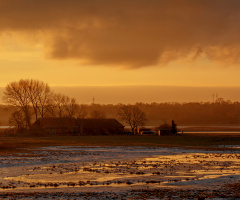 Early Winter Morning