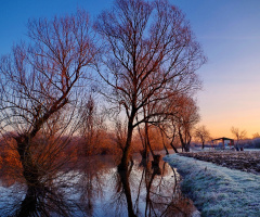 Frost morning