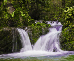 Çınarlıdere/Derince/Kocaeli