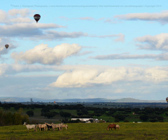 Rises up, balloon rises