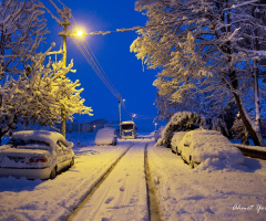 Kış-Winter