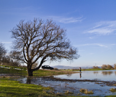 Uluabat,Bursa