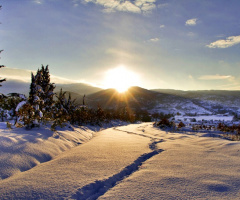 Güneşe Doğru-Towards the Sun