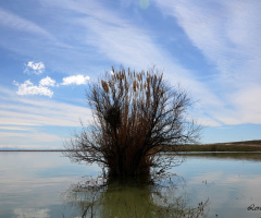 Niğde Akkaya Barajı