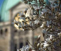 Spring in Hanover