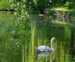 On the lake..today