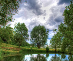 On the  lake