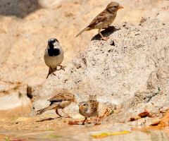 bathing day .. :)))