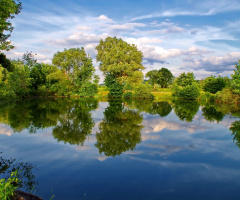 On the  lake,today