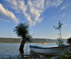 Gölyazı; Bursa