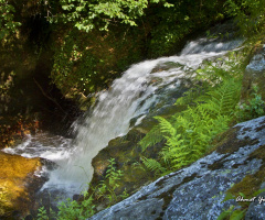 Şelale-Waterfall