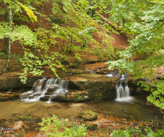 Şelale-Waterfall