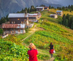 Pokut