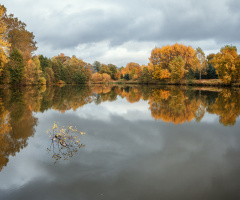 Autumn Reflection