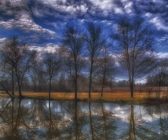 Lake  on winter