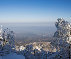 Kartepe 