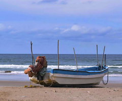 Resting on the shore 