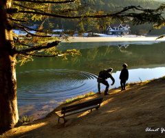 Bolu, Gölcük