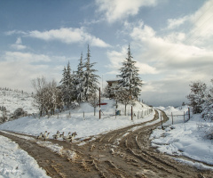 Kış-Winter