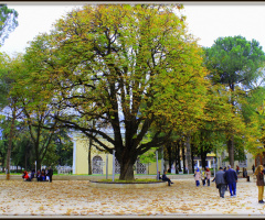 Tophane, BURSA