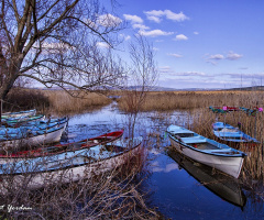 Gölyazı