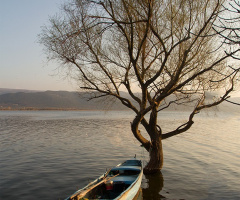 Gölyazı